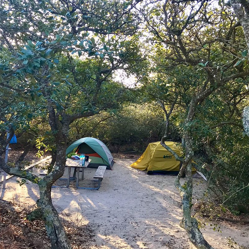 Camping tents at False Cape.
