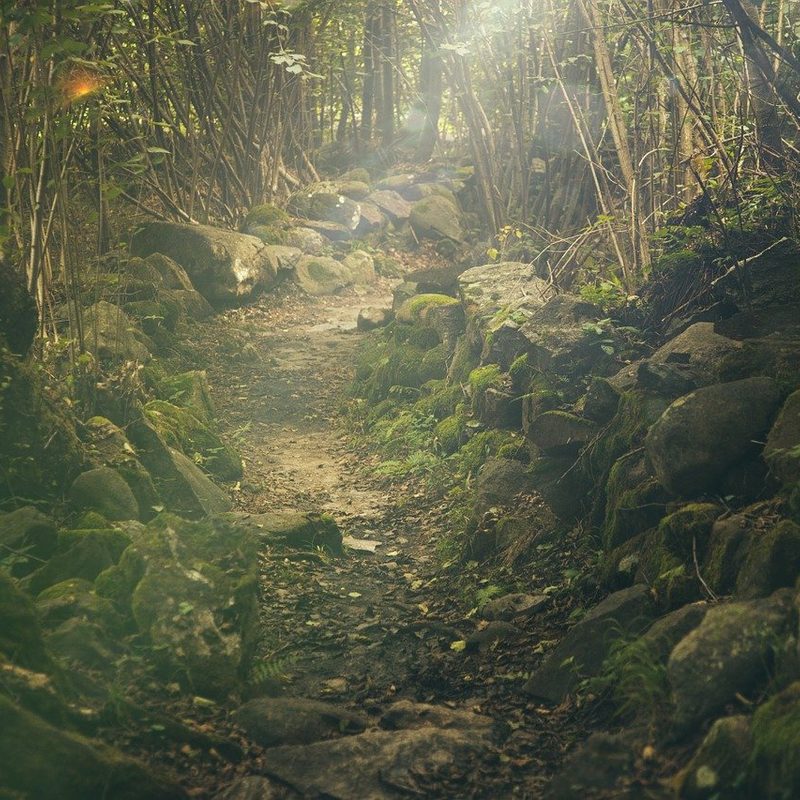 A mossy trail with stacked rocks on both sides.