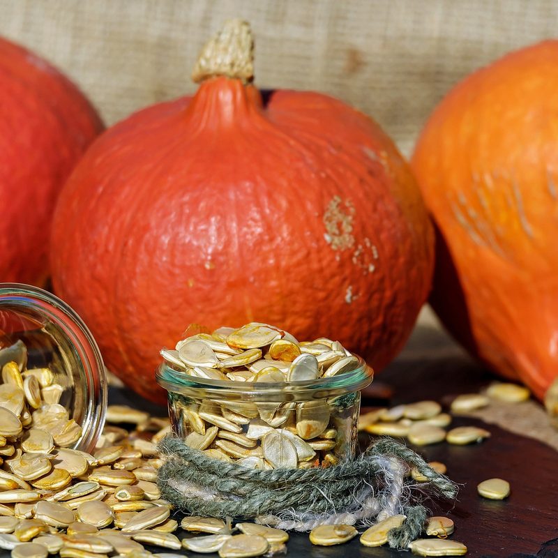 pumpkins and pumpkin seeds.