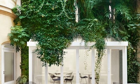 Alaïa's Café da Rosa in Paris.