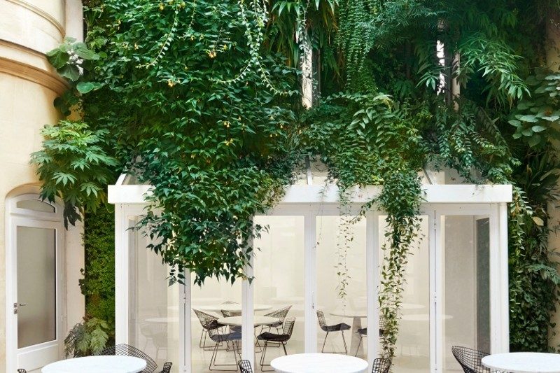 Ala&iuml;a's Caf&eacute; da Rosa in Paris.