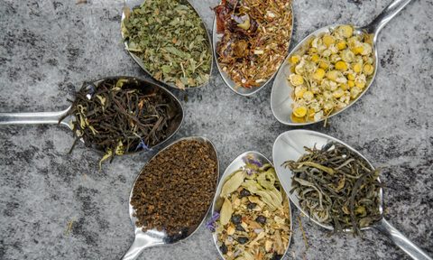 Spoons of different tea leaves.