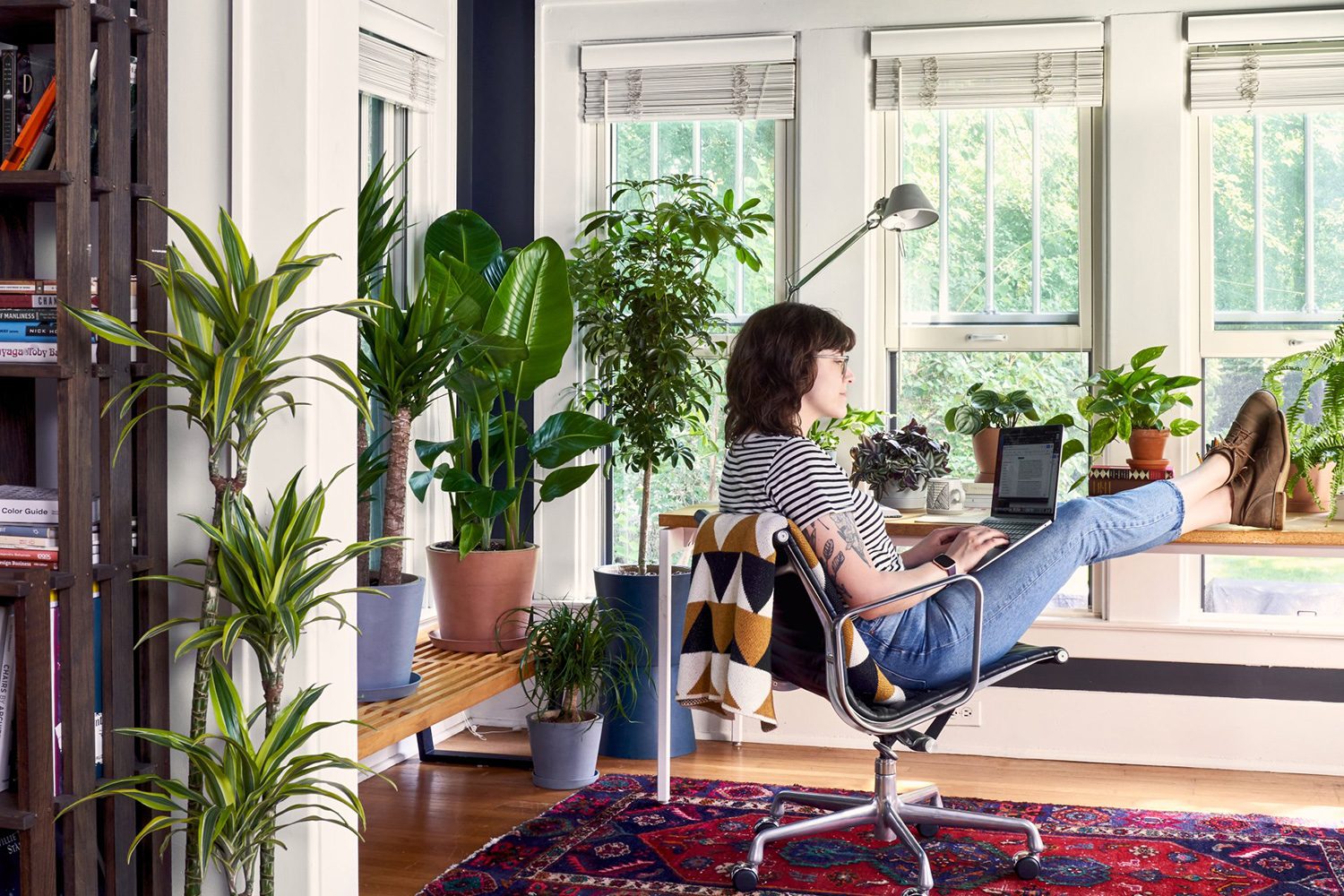 Bloomscape House Plants