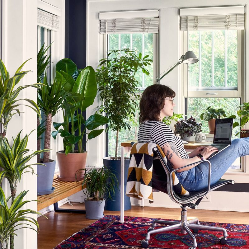 Bloomscape plants in work from home setting lifestyle.