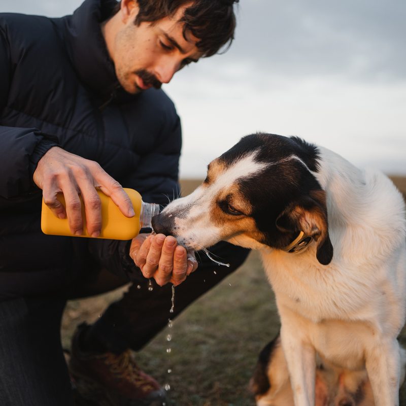 A man pouring water into his palm to let his dog drink.