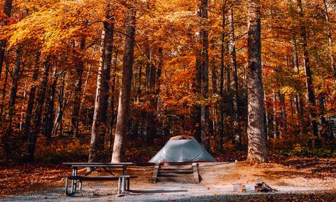 A table and tent under the trees in fall.