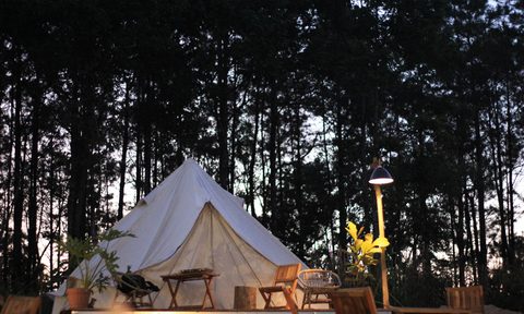 camping vs. glamping campsite