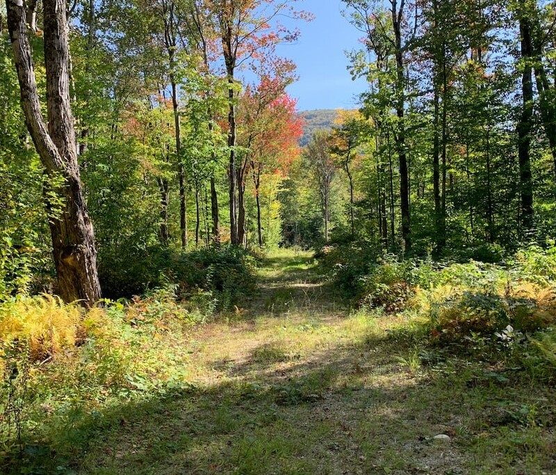 Glastenbury Mountain, Vermont