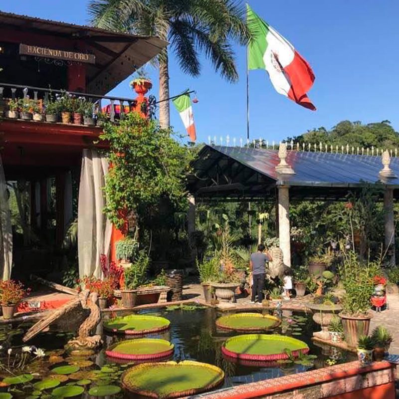Jardin Botanical in Puerto Vallarta, Mexico.