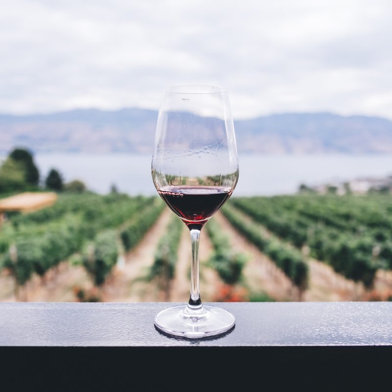 A glass of red wine with vineyards.