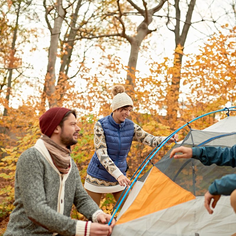Group of Canadian hikers setting up a tent in a fall forrest.