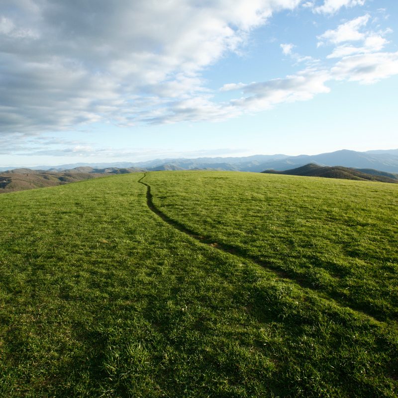 The Appalachian Trail at Max Patch Bald west of Asheville, NC.