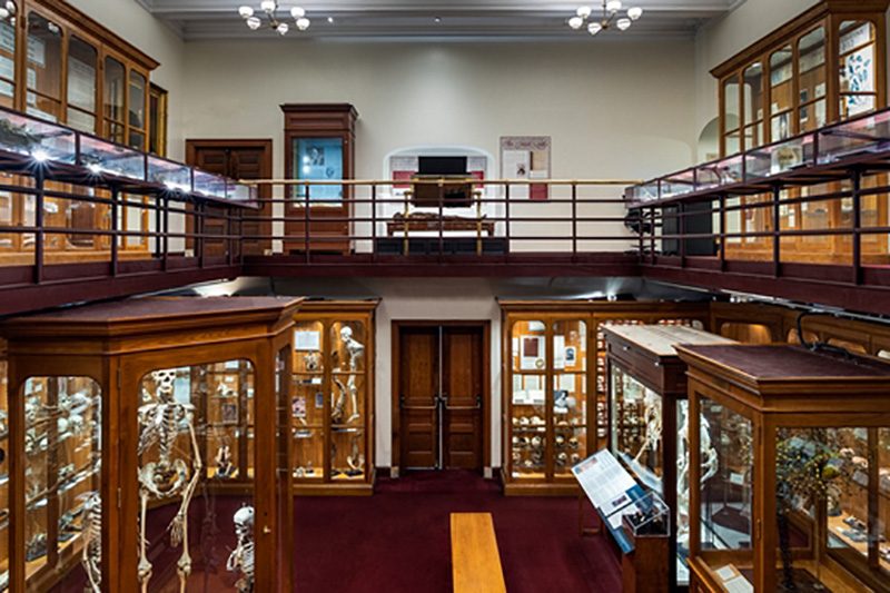 Philadelphia's M&uuml;tter Museum is one of the world&rsquo;s most weirdly fascinating museums.