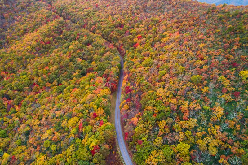 Autumn colors in Blue Ridge Parkway.