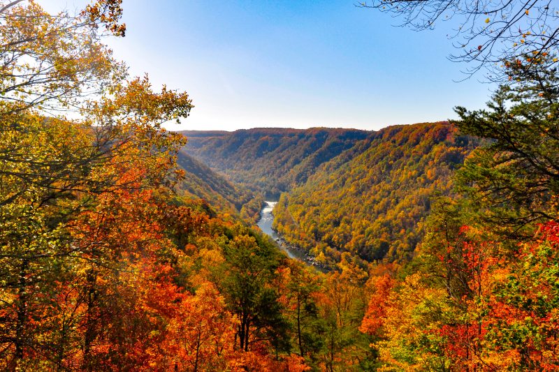 Fall foliage at the New River Gorge in West Virginia.