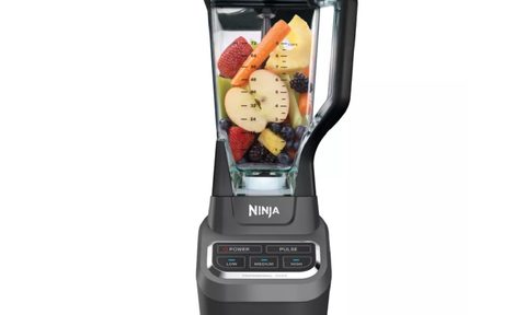 The 1,000-watt Ninja Professional Blender with fruits and vegetables inside.