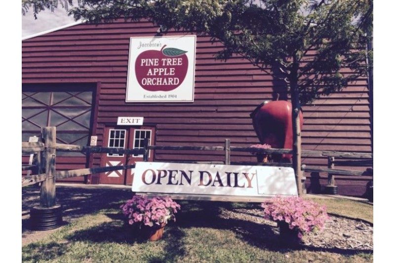 Pine Tree Orchard apple cider mill.