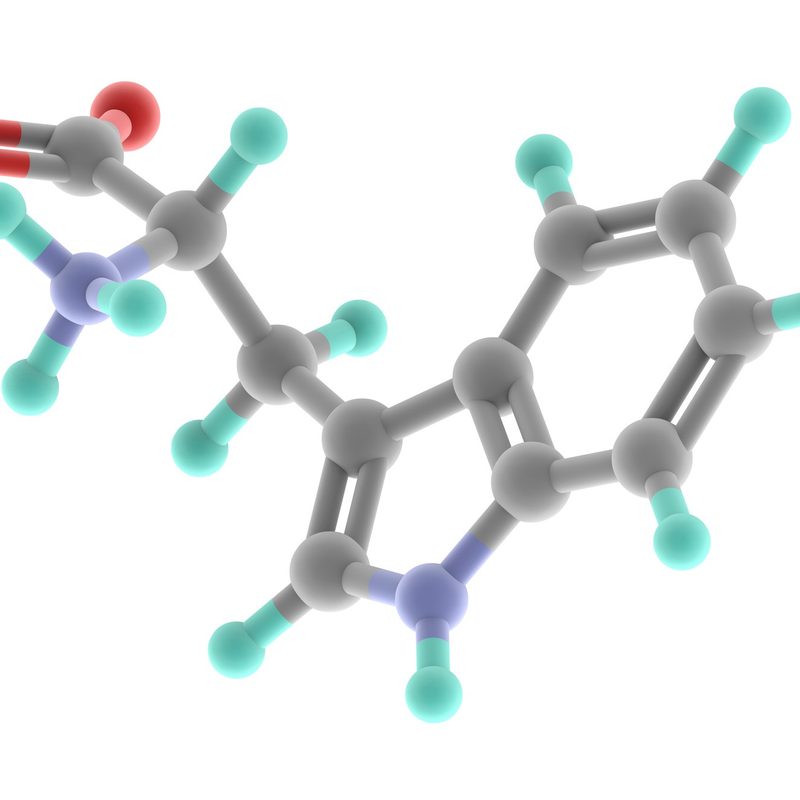 Tryptophan molecule on a white background.