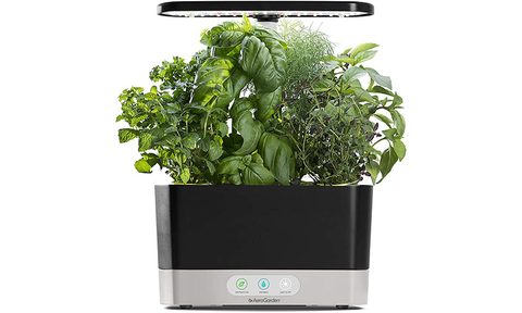 AeroGarden Harvest Indoor Garden on a white background.