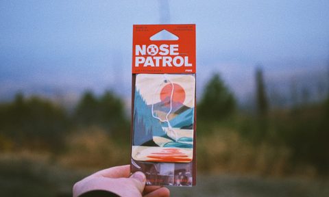 nose patrol best car air freshener.