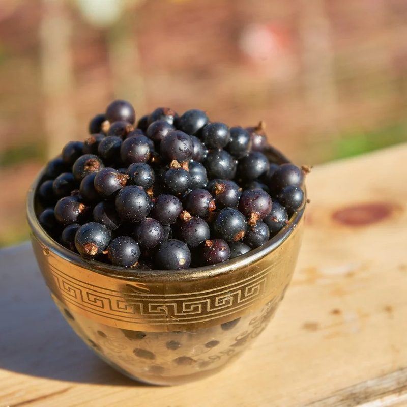 black currants piled into a bowl and sitting on a pine table.
