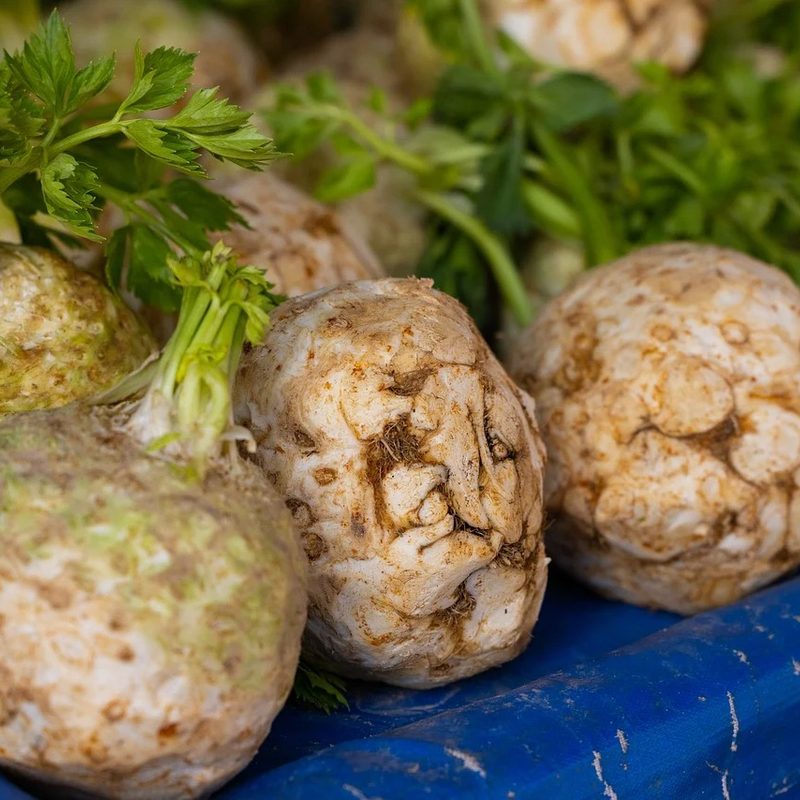 raw celeriac sitting on a counter.