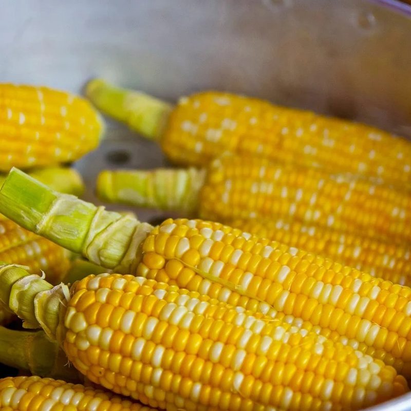 A close-up of corn on cobs in a pot.