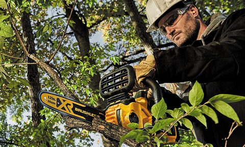 DEWALT 20V MAX XR Chainsaw trimming branches.