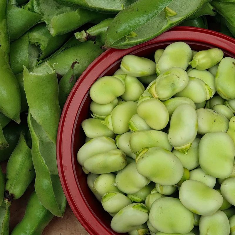 A bowl of Fava beans, with several Fava bean skins surrounding it.
