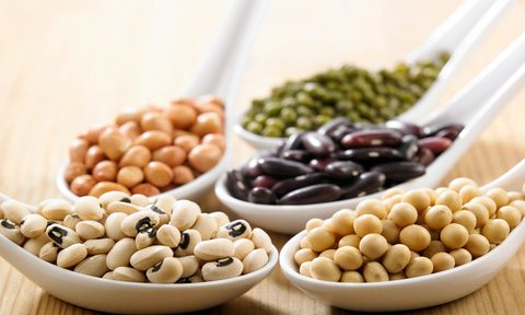 A variety of legumes on white spoons