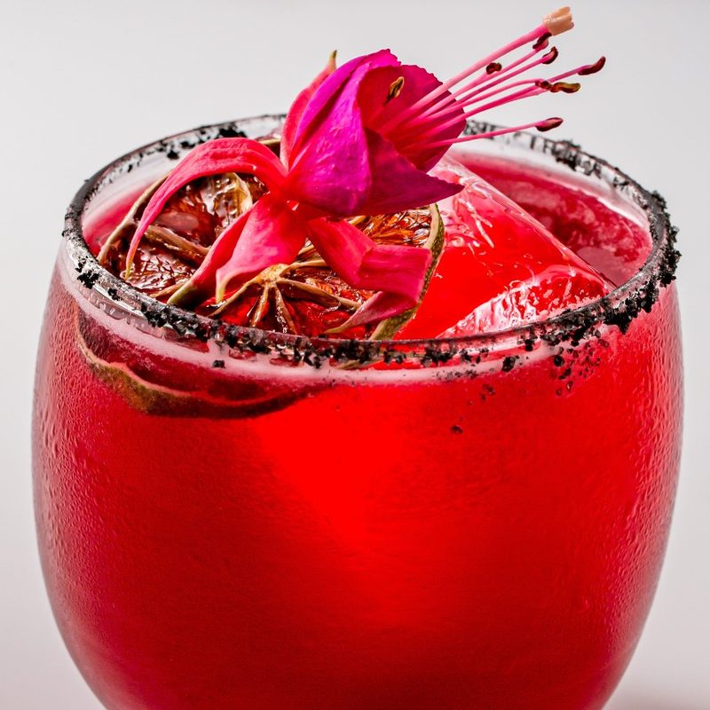 Hibiscus Margarita.