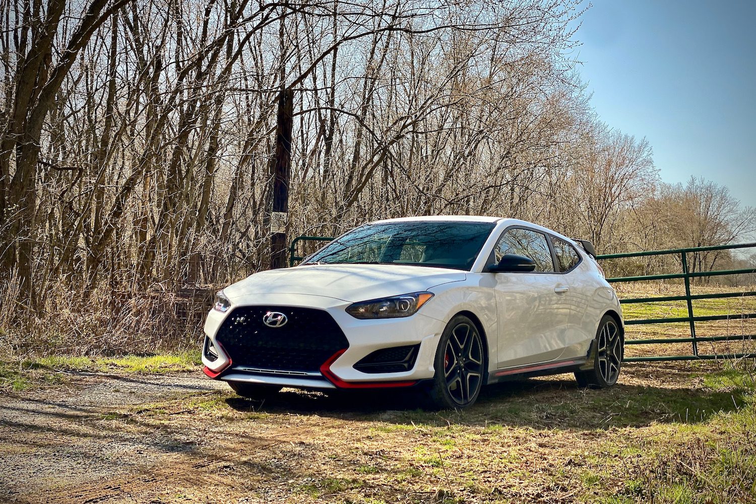 Hyundai Veloster N front end of driver's side in front of trees.