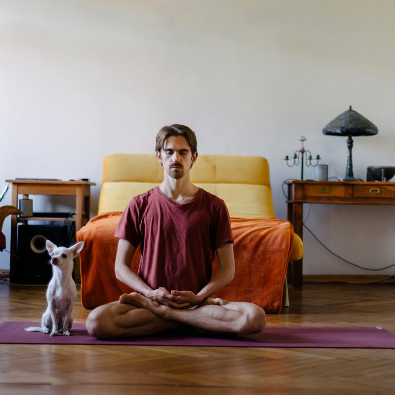 Man doing yoga in front of bed with dog