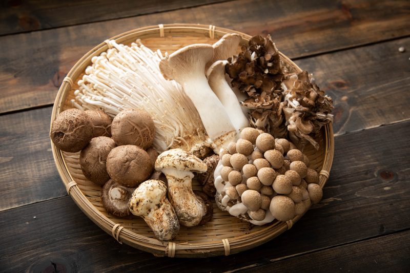 A serving of assorted mushrooms.