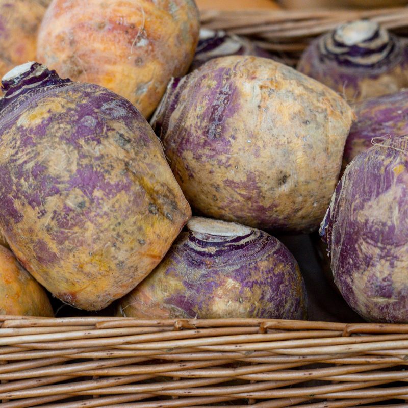 raw rutabaga piled into a wicker basket.