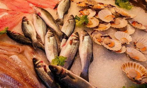 foods high in omega-3 fats.