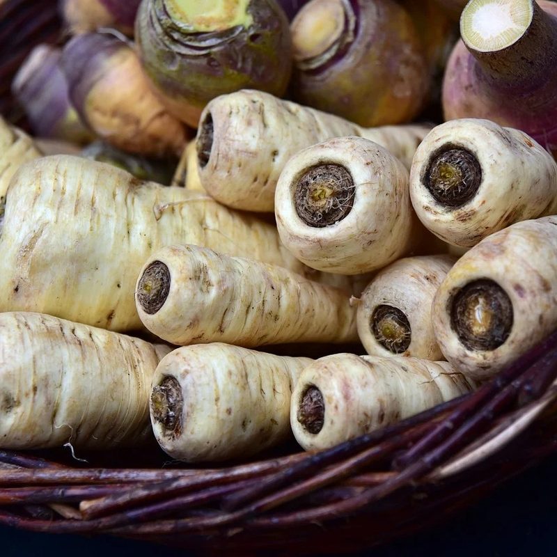 raw parsnips in a basket.