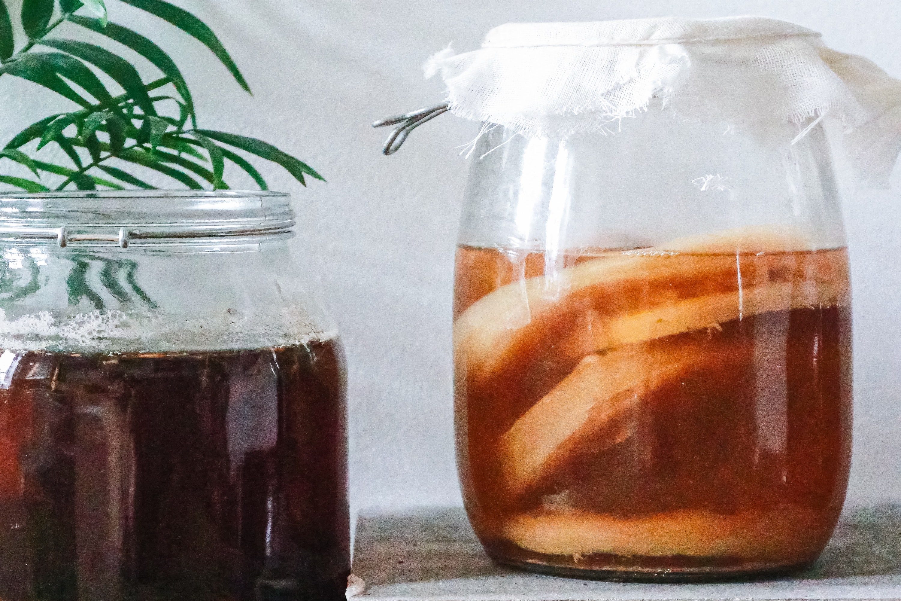 Homemade kombucha fermented.