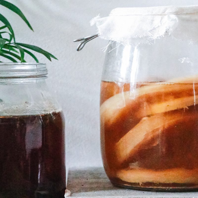 homemade kombucha in jars sitting on a shelf.