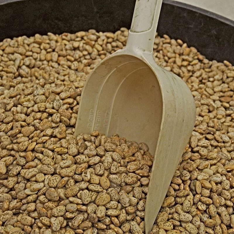 A spoon scooping up Pinto beans.