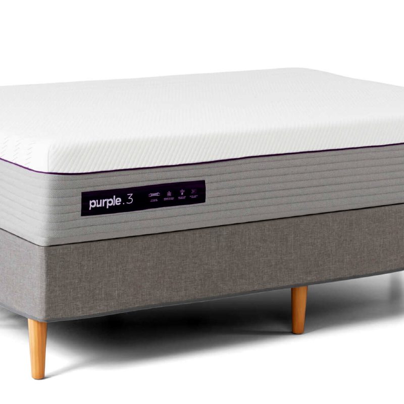 Purple Hybrid Premier, queen on white background.