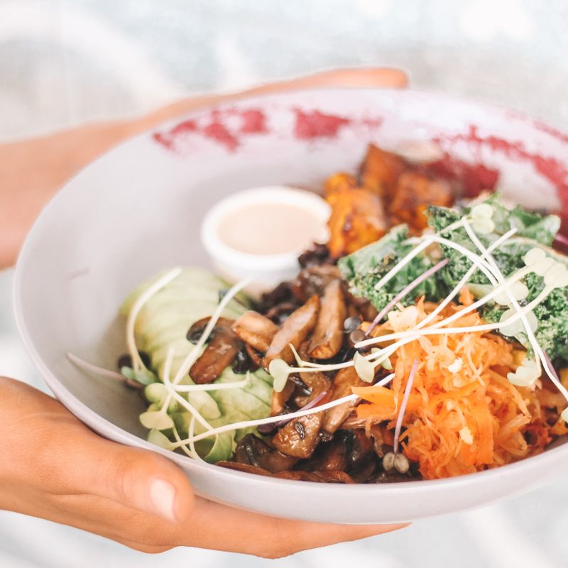 Person holding a vegan bowl.