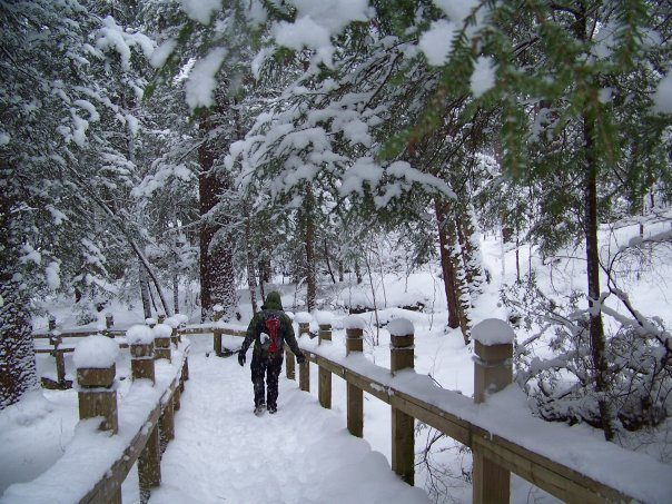 Hiker in the snow.