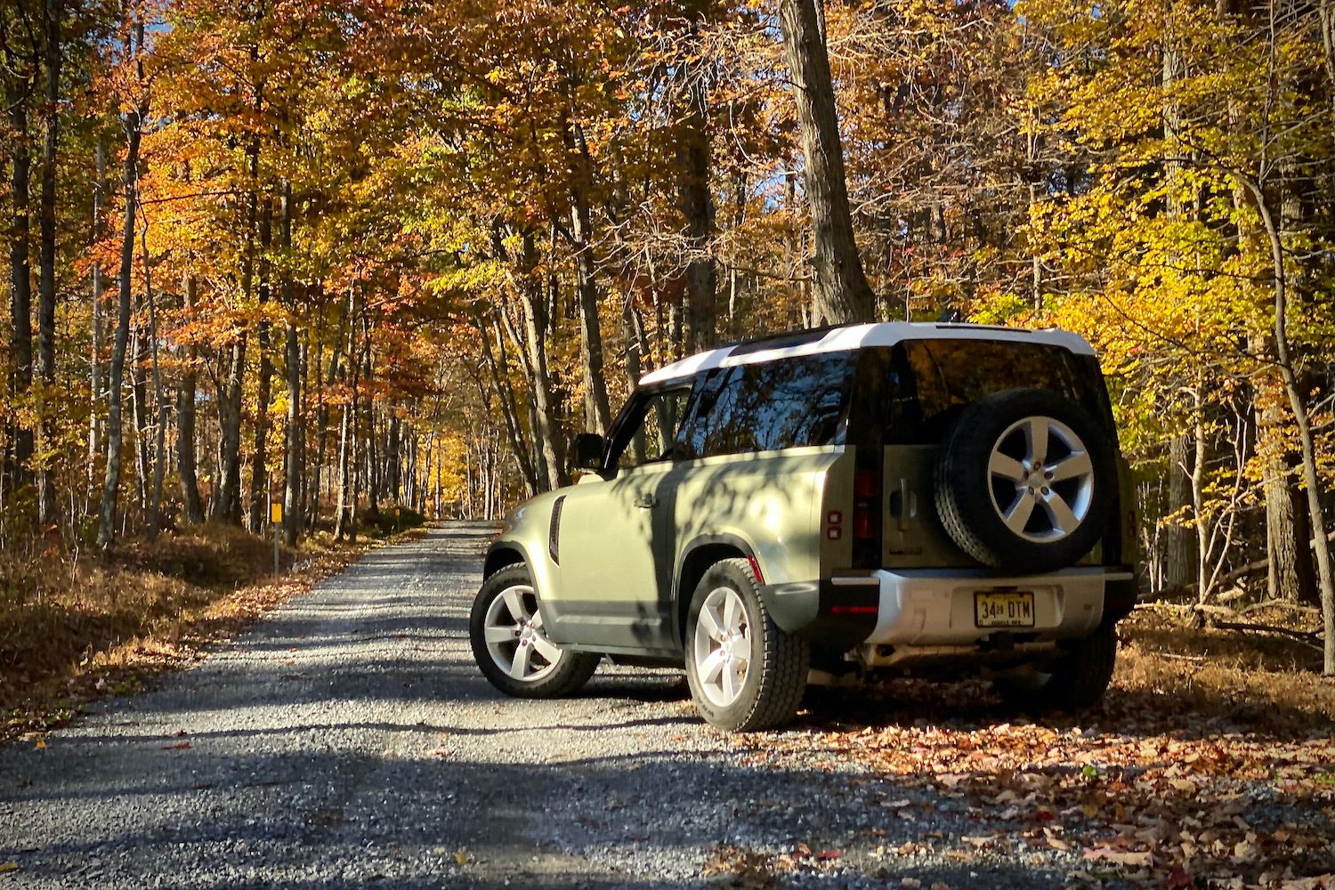 Land Rover Defender rear end from driver's side in front of woods.