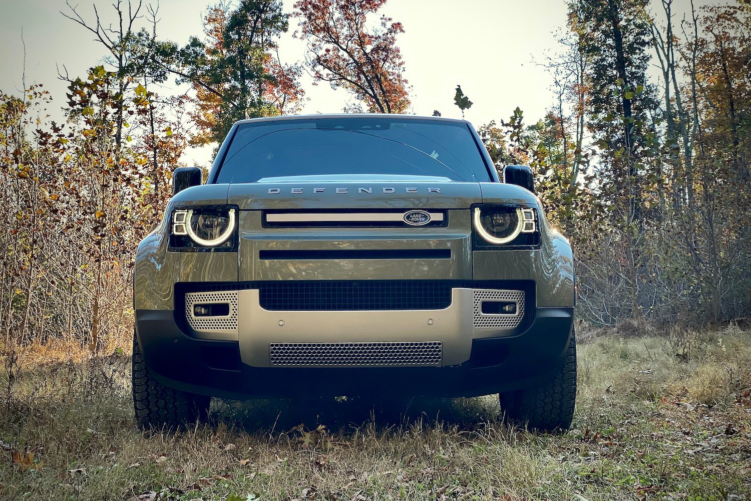 Close up of Land Rover Defender front end in grassy field.