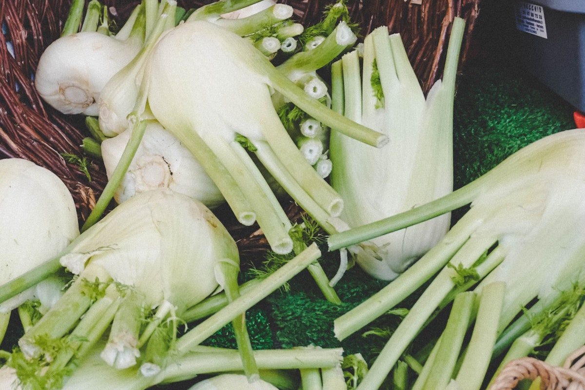 Fresh bulbs of fennel