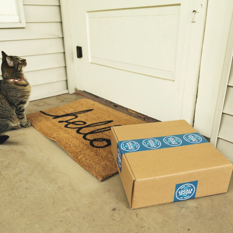 A cat near a "Hello Doormat" and a subscription box patiently waits for the door to open. 