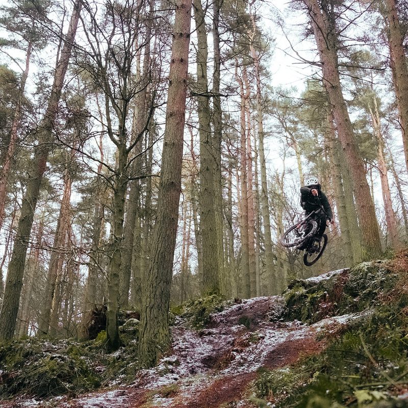 Mountain biking in Georgia Allatoona.