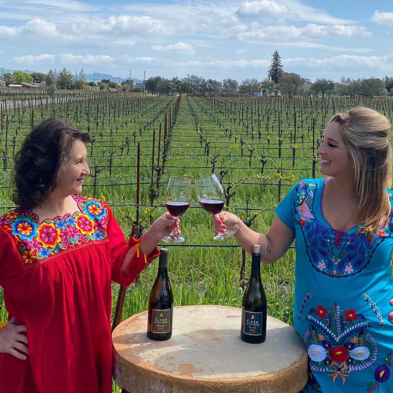 Ceja Vineyards.