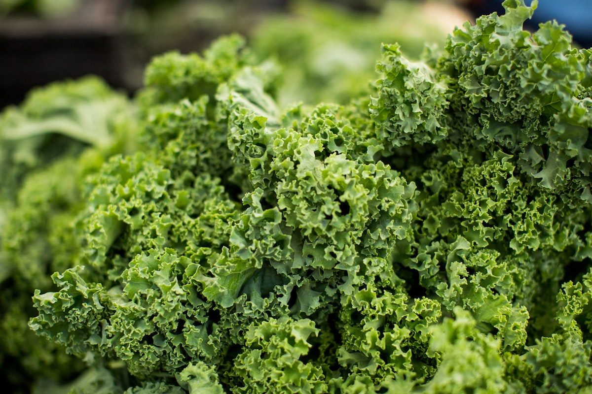 A bunch of kale